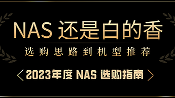 家庭网络折腾笔记 篇三十七：NAS 还是白的香，从选购思路到机型推荐，一篇文章给你安排的明明白白丨2023年度 NAS 选购指南 