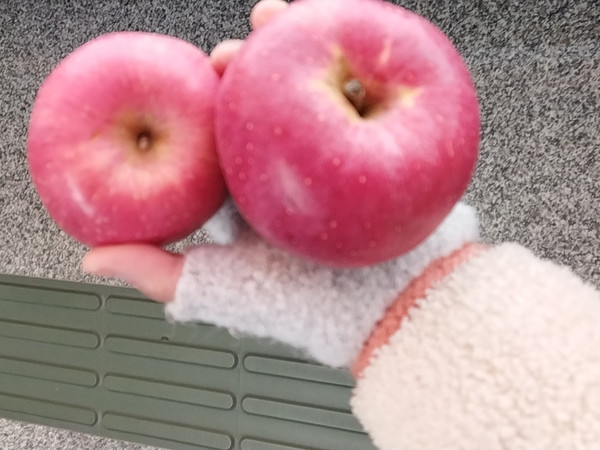 红富士苹果当季新鲜水果