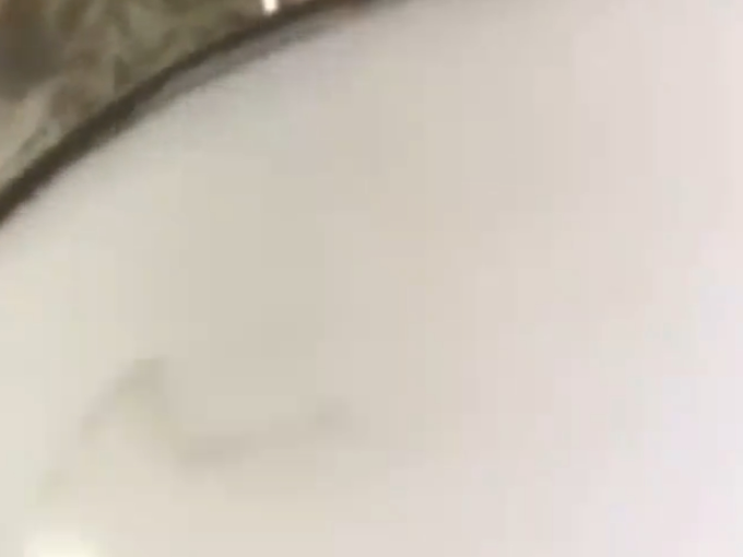 憨憨乐园胸背牵引/项圈