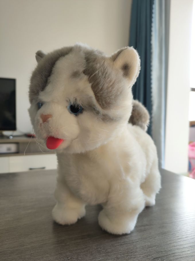 科迈特益智玩具
