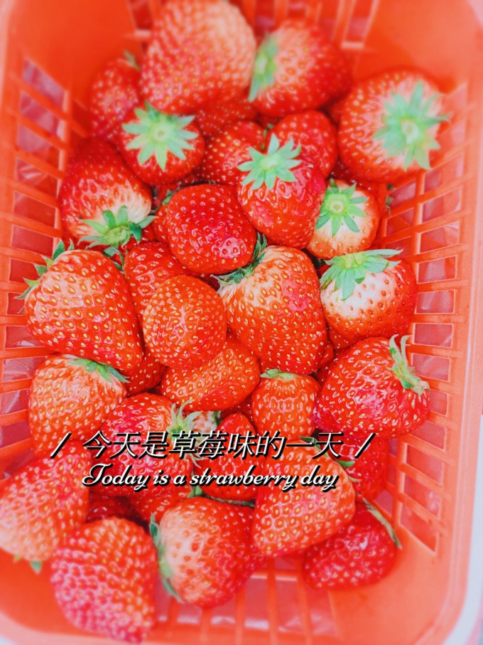 甲午先生草莓