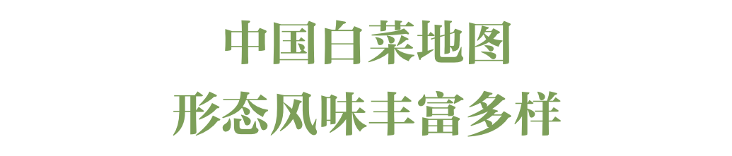 什么？这些也是白菜？