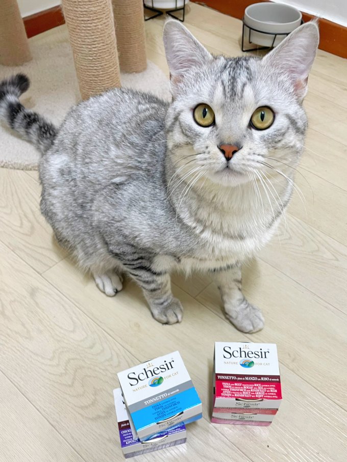 雪诗雅猫咪湿粮/罐头