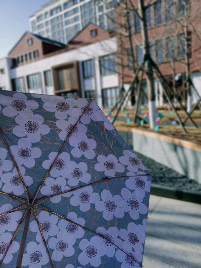 雨伞雨具