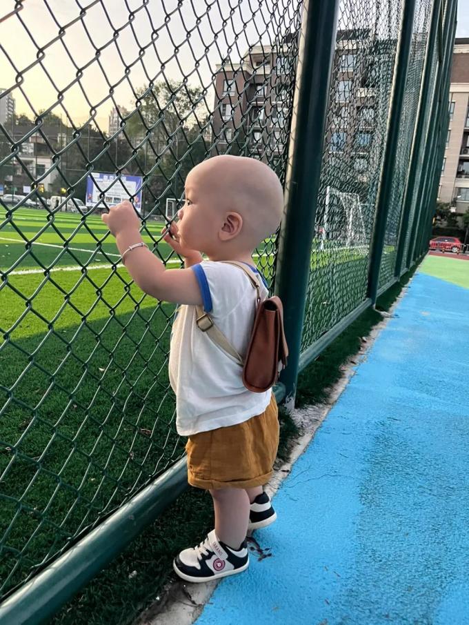 泰兰尼斯婴儿鞋袜