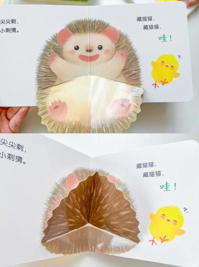 绘本/图画书
