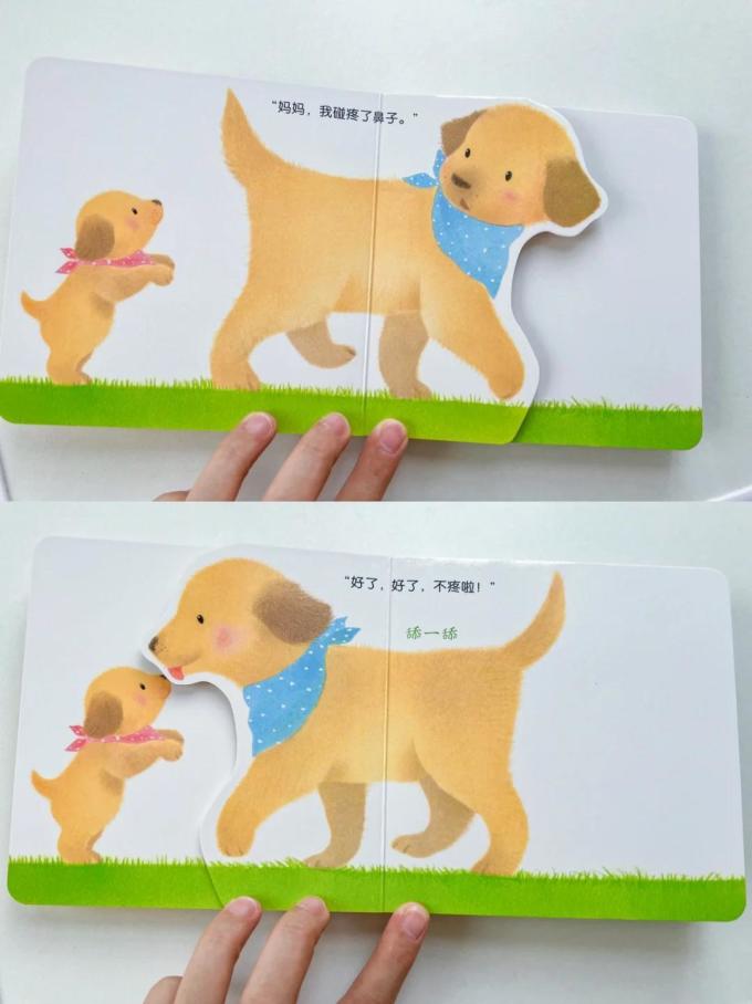 绘本/图画书