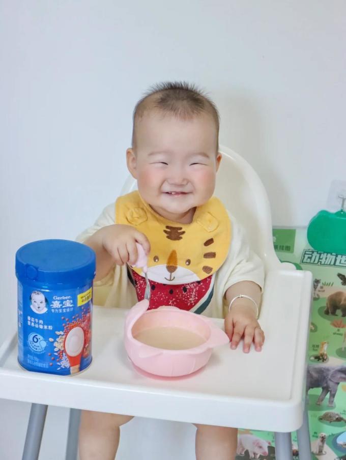 嘉宝婴儿辅食
