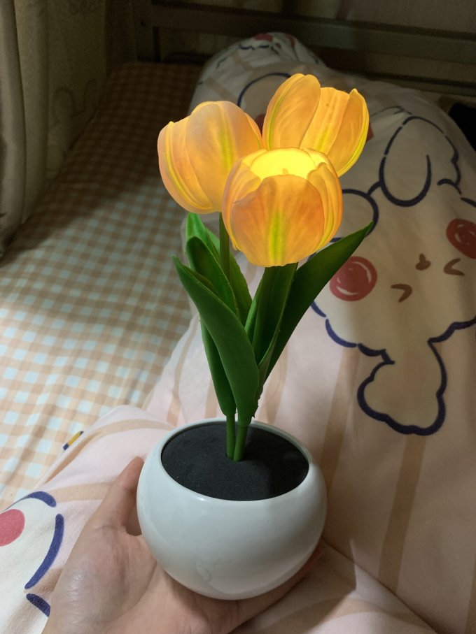 夕风其他摆件