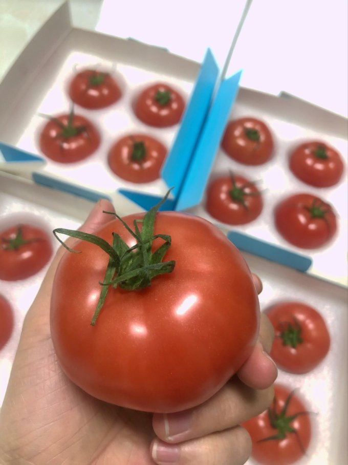 蔬菜