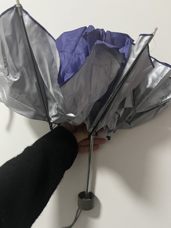 雨伞