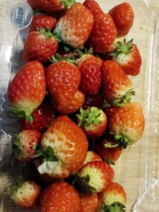 草莓🍓脑袋真的是太喜欢吃草莓了