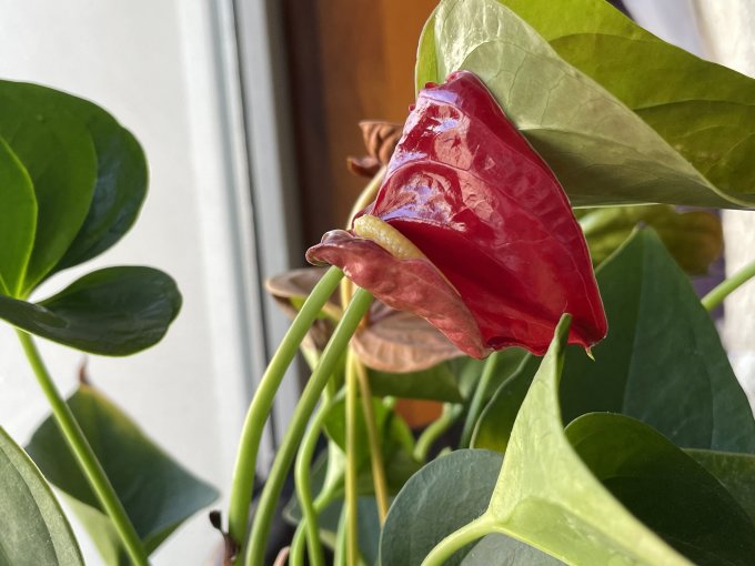 花瓶花器