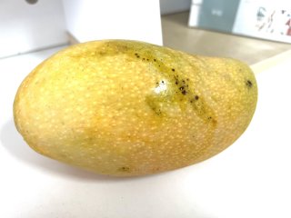 好吃的水仙芒