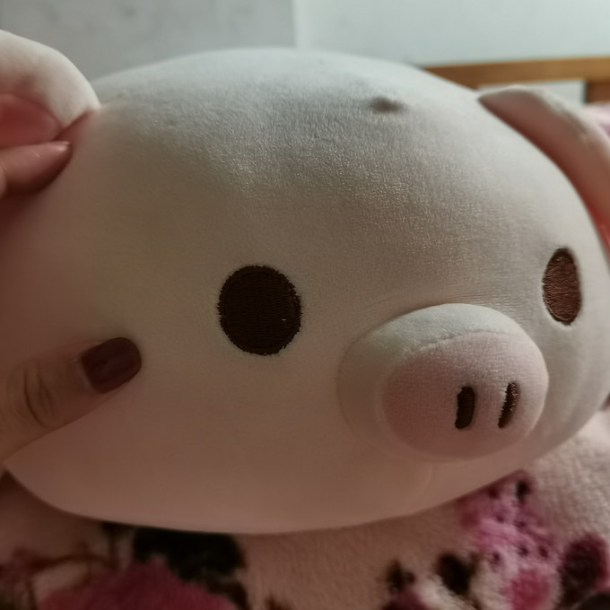 11:46:22 女生节社团送的礼物,好可爱滴小猪娃娃,摸上去手感好好哇