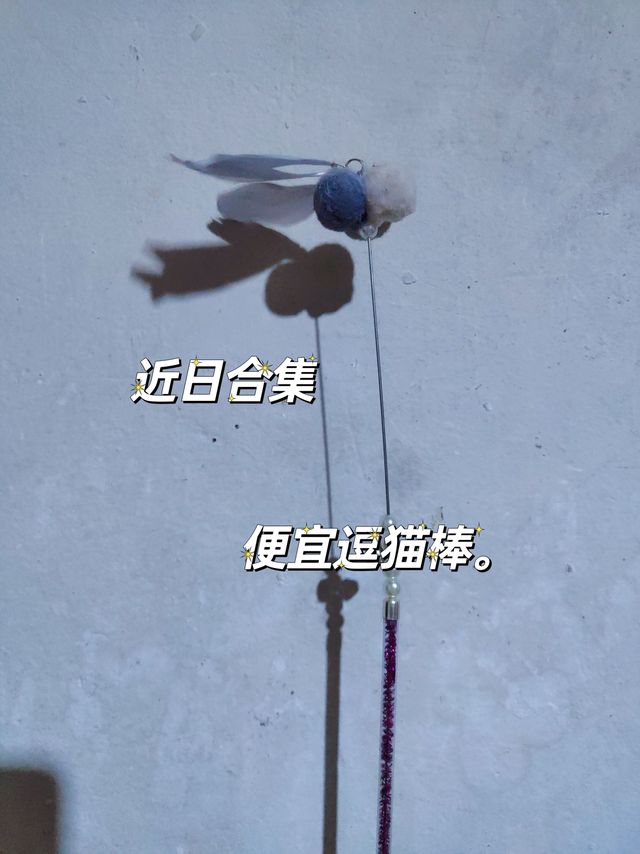 没有一个小猫宝宝可以拒绝逗猫棒