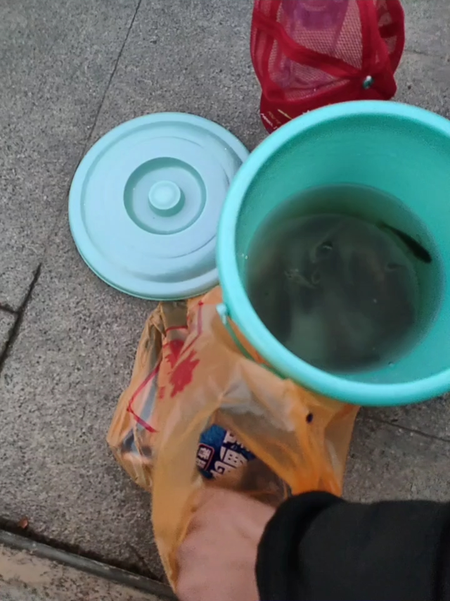 给小朋友买的鱼竿