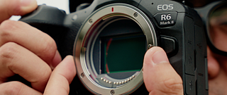 佳能EOS R6专业级全画幅微单相机表现怎么样？微单是未来趋势吗？