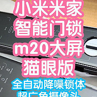 小米智能家居 篇十三：[小米上新]今日开售-小米米家智能门锁M20大屏猫眼版。纯开箱预告