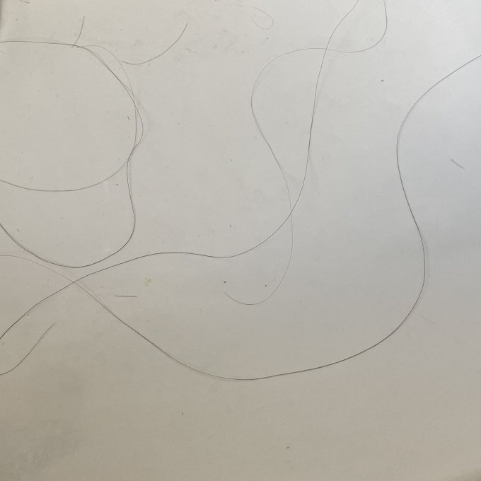 卡诗洗发护发