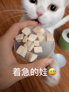 一打开这个冻干，🐱眼睛就发亮