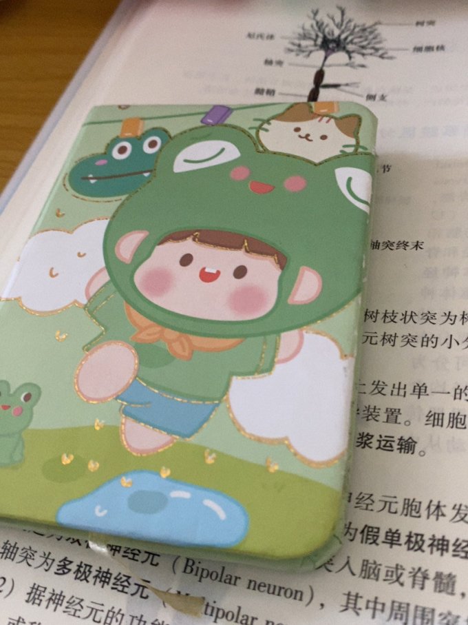 纸质笔记本