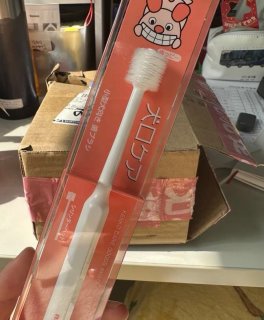轻松上手，给狗狗刷牙一点也不难！