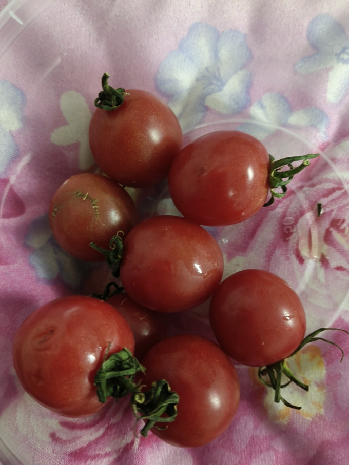 蔬菜