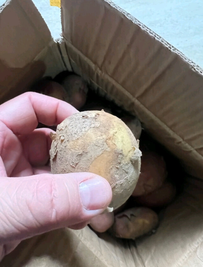鲜福林蔬菜
