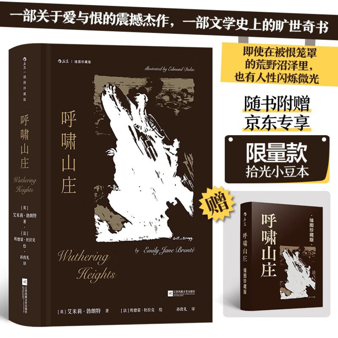 恨怎么可能轻易放下,爱又怎么可能随便忘却…《呼啸山庄》