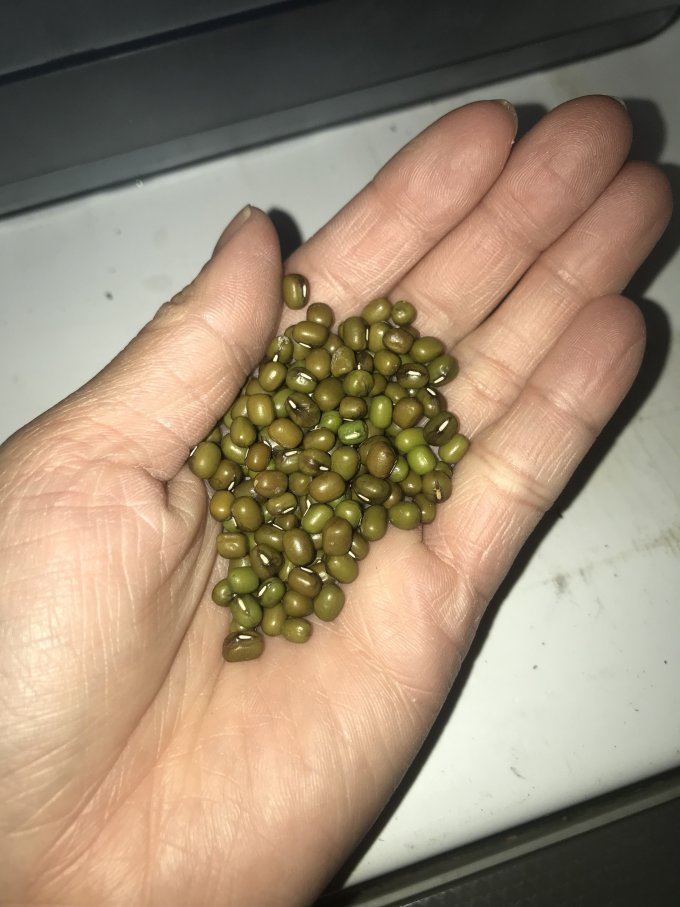 谷物/杂粮/粥米