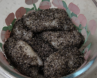今日美食 篇二：湖北很常见的麻糍，今天来用多余的糯米粉做个家庭版的。