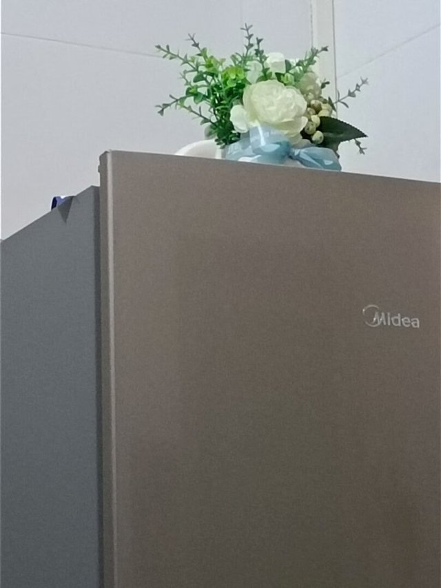 冰箱挺不错的，外观简洁大方，很大气，空间