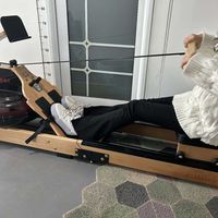 走过了“阳康”你还得抗下“甲流”