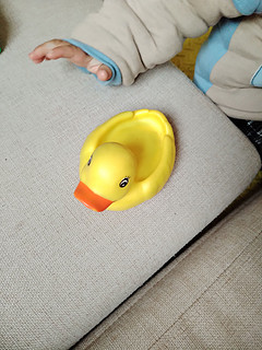 洗澡玩的小鸭子来了