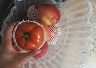 这个季节一定要吃西红柿！
