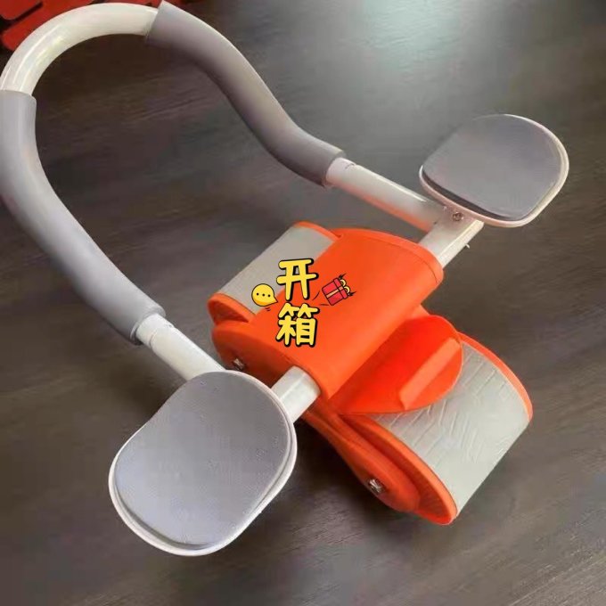 赫朗健腹轮