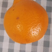 挑战一口气吃一个橘子吧