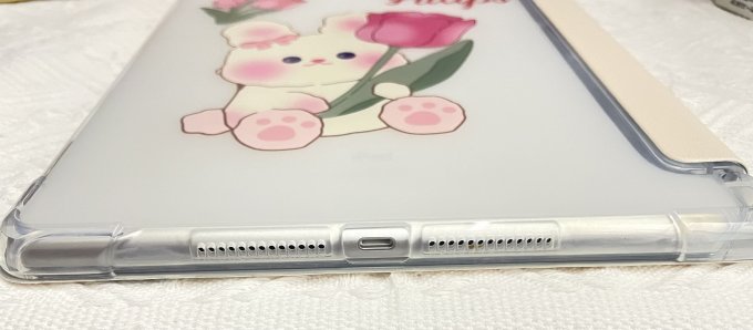 爱胜保护壳