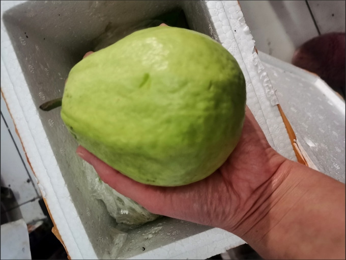 优木良品其他水果