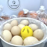 10💰神器搞定冰箱食物味道！跪谢姐妹