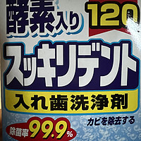 日本狮王假牙牙套保持器清洁片