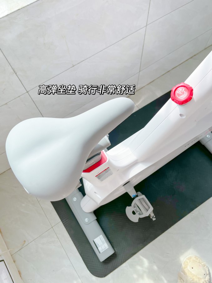 野小兽健身车