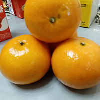 超级好吃超级甜的柑橘