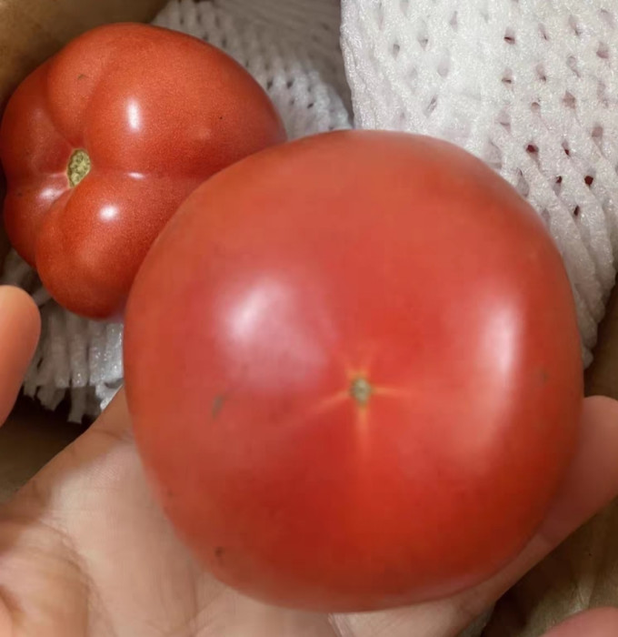 蔬菜