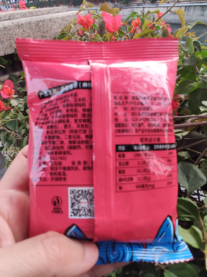 洞庭哥其他休闲零食