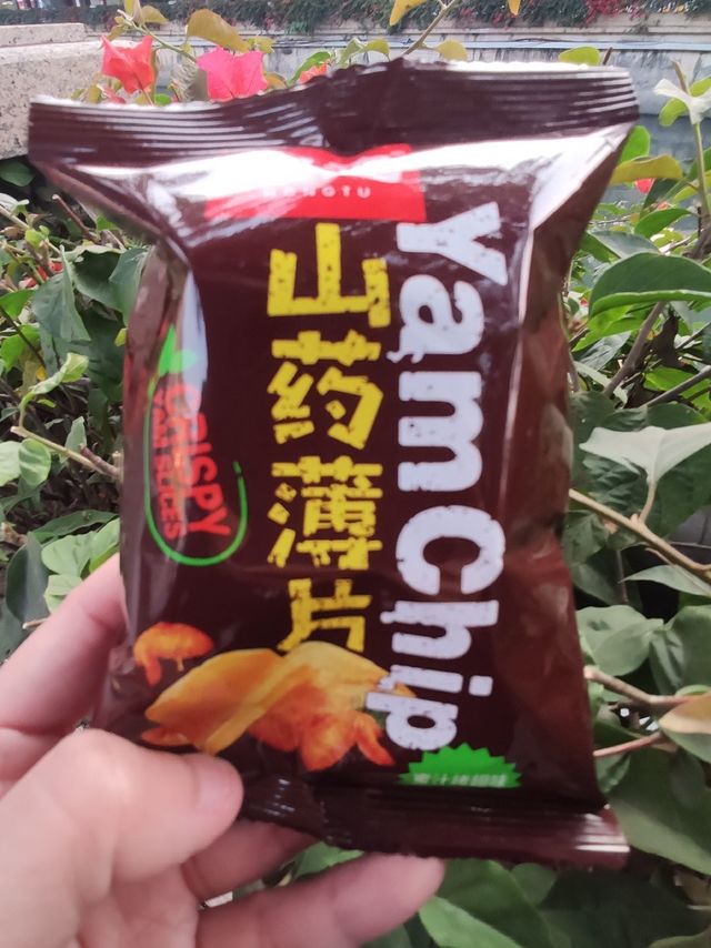 宏途山药薄片，纤薄松脆！