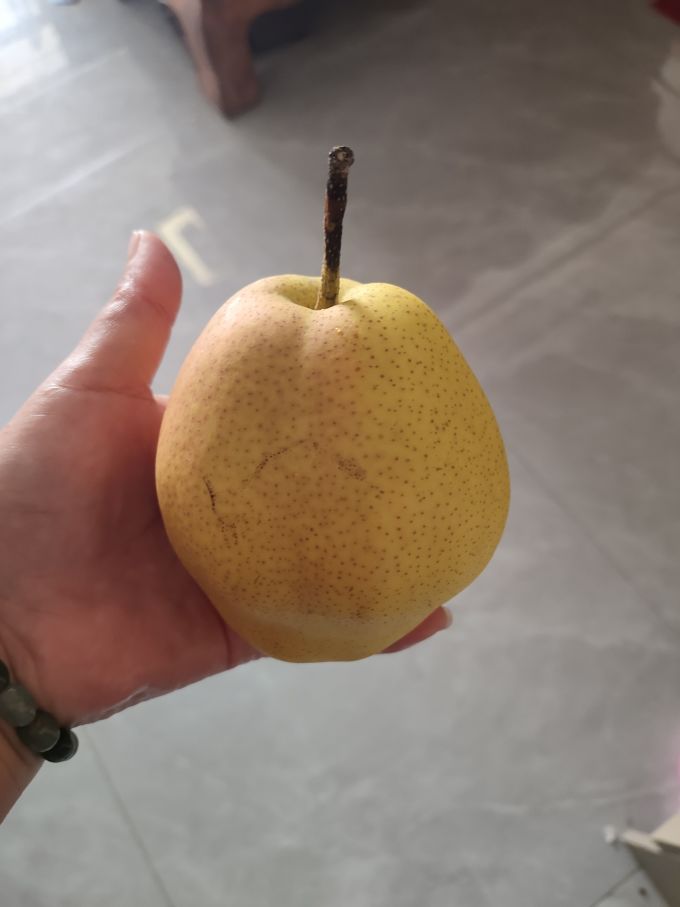 其他水果