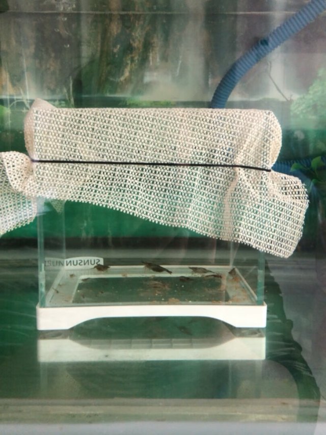 做工特别好，玻璃厚实，黏胶处没有异味，透