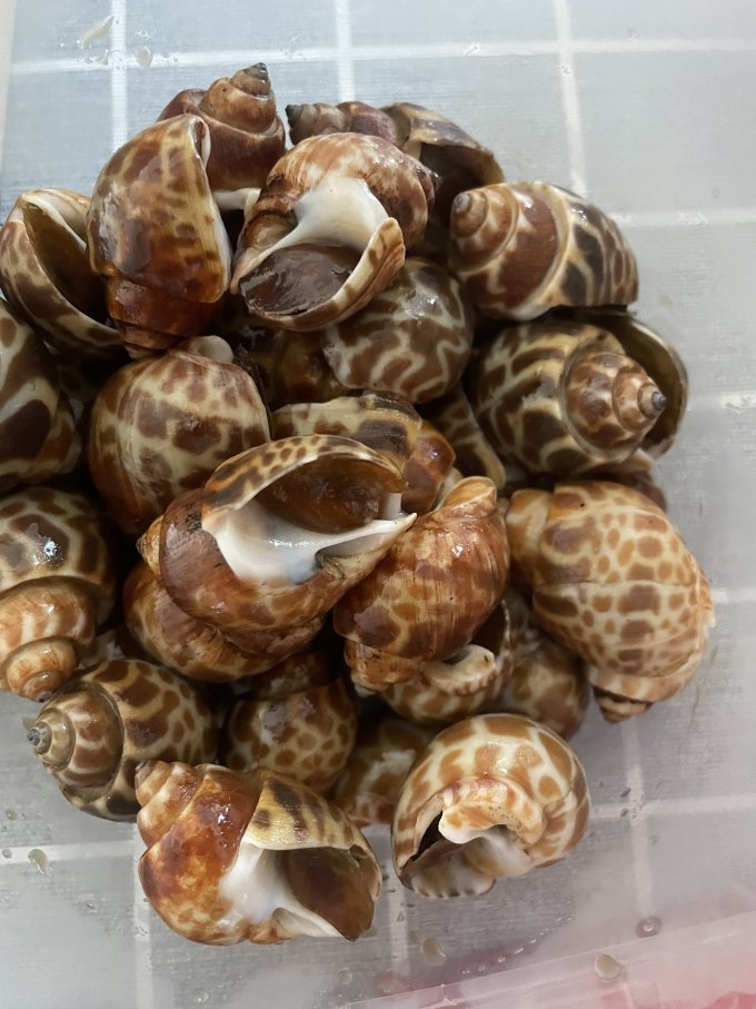 海鲜水产